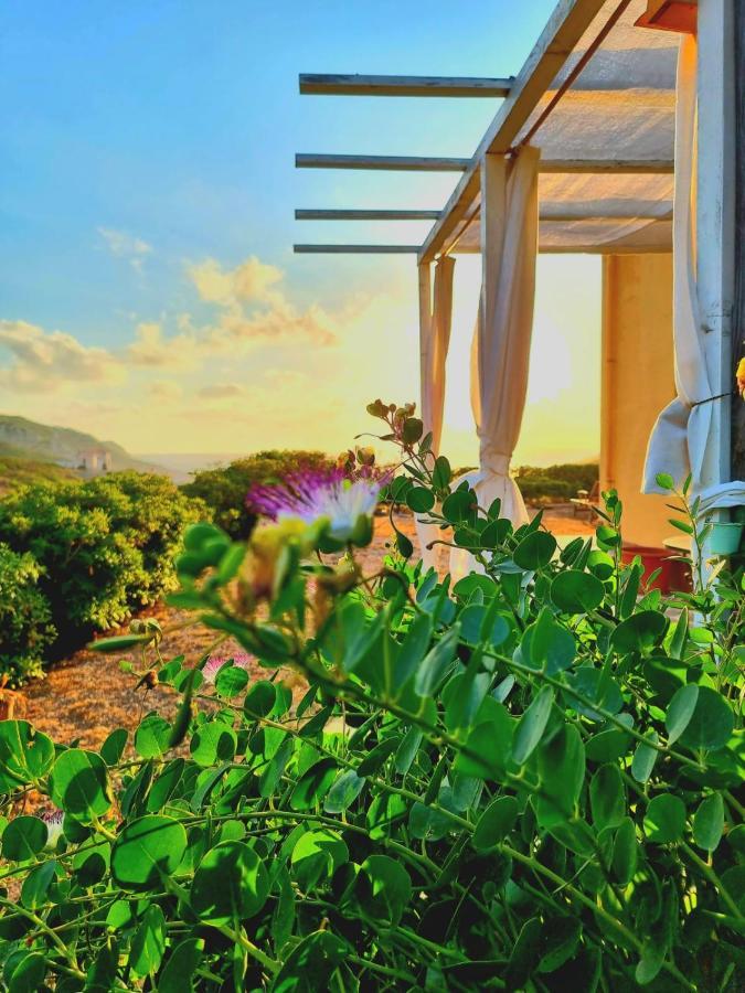 B&B Calata Di Soli Miniera dellʼArgentiera 外观 照片