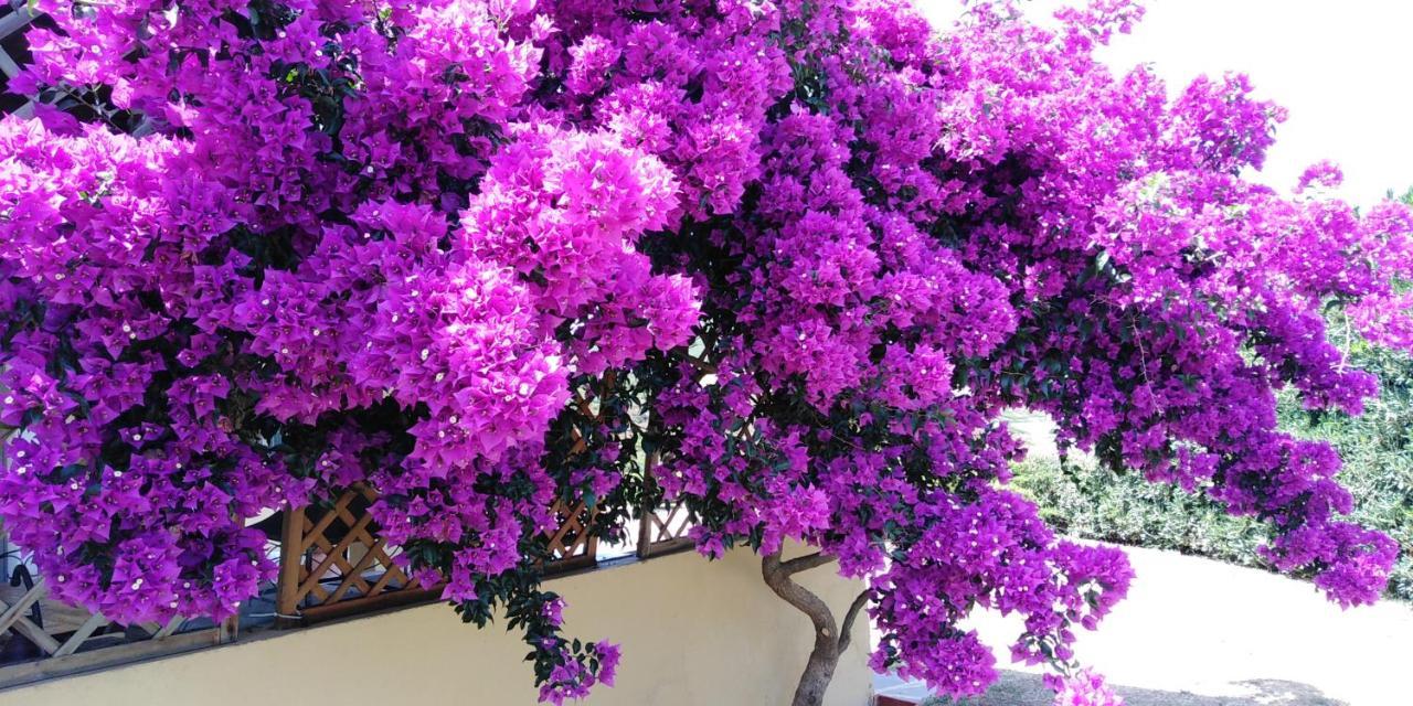 B&B Calata Di Soli Miniera dellʼArgentiera 外观 照片